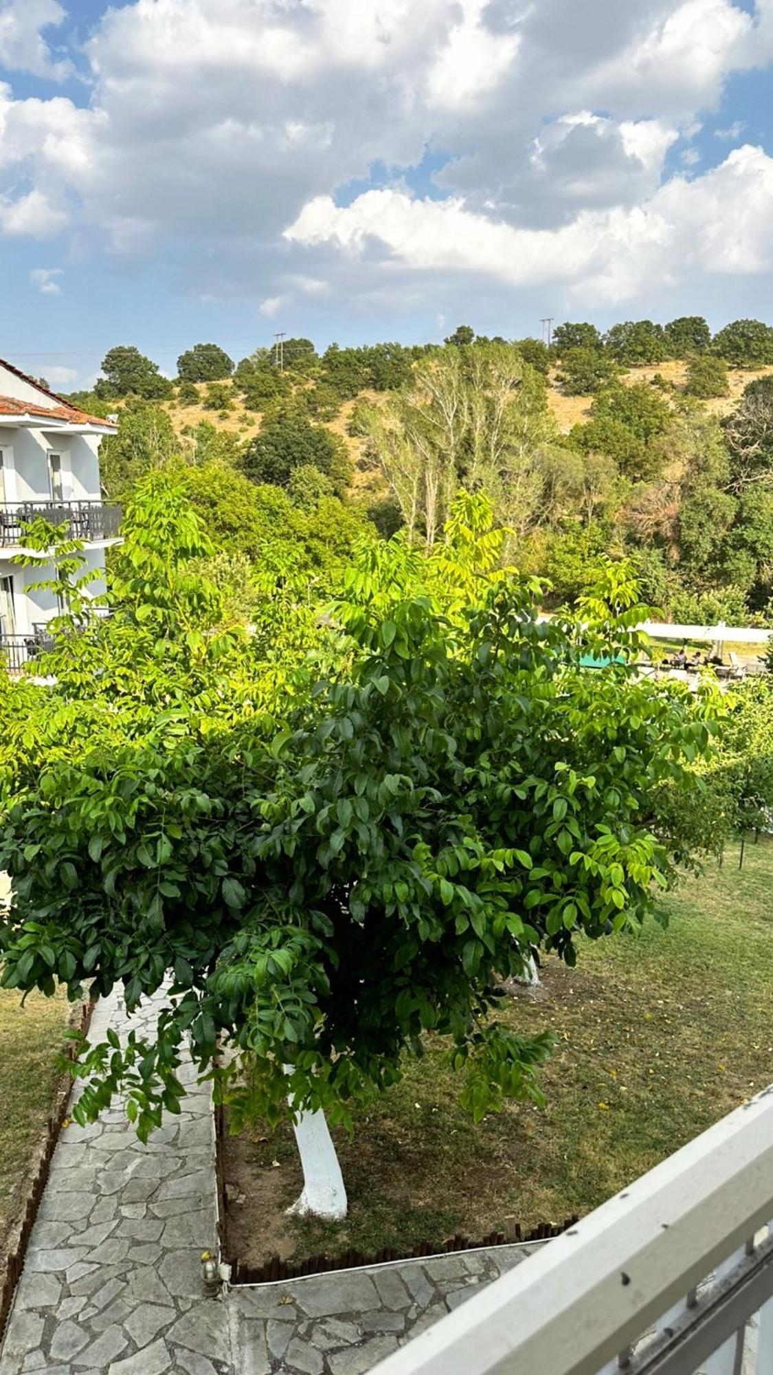 Tselikas Hotel Kozani Room photo